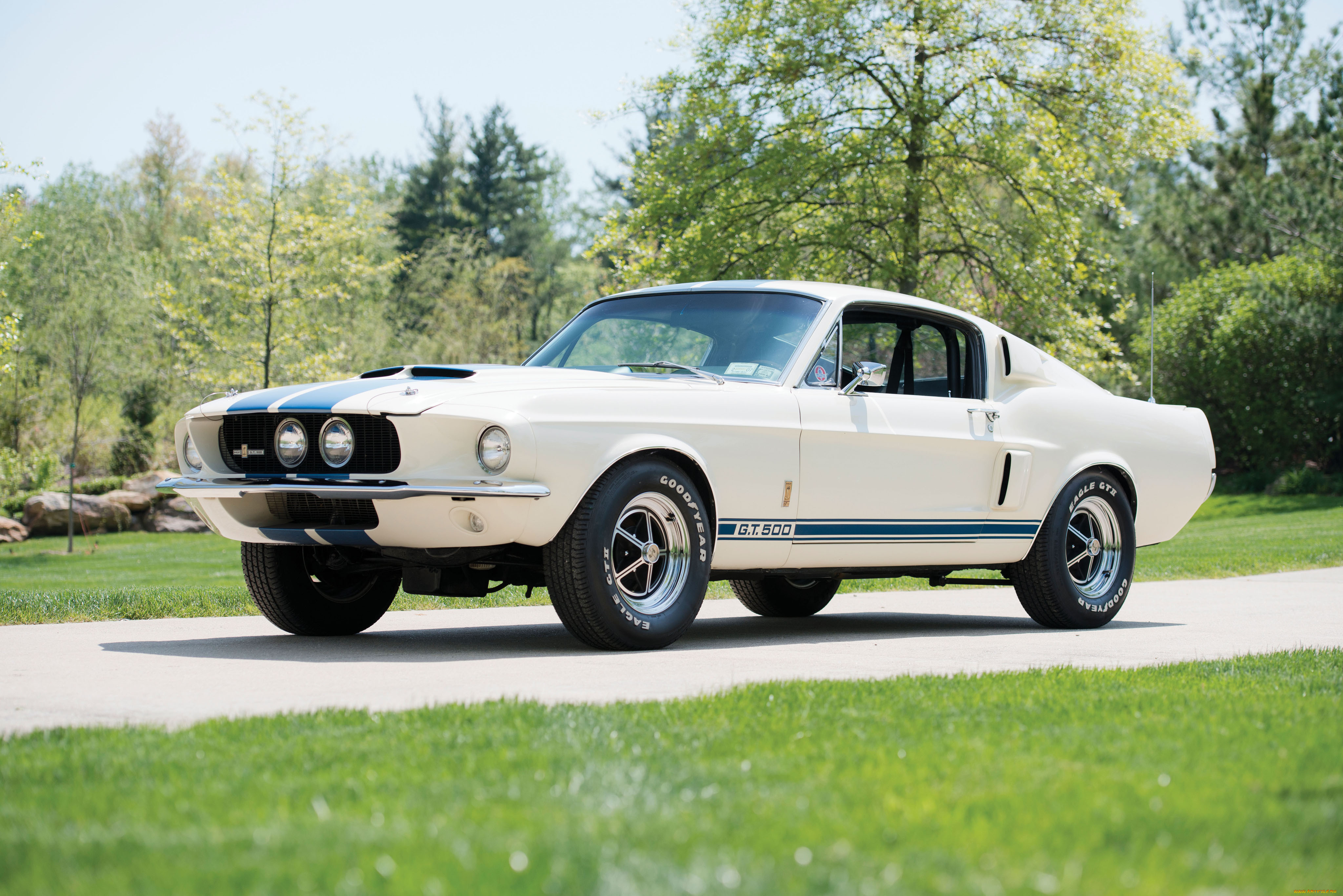 shelby gt500 with lemans stripes option, , mustang, shelby